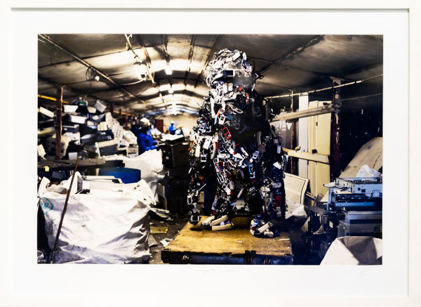 Francois Knoetze, Cape Mongo (Cell), 2015