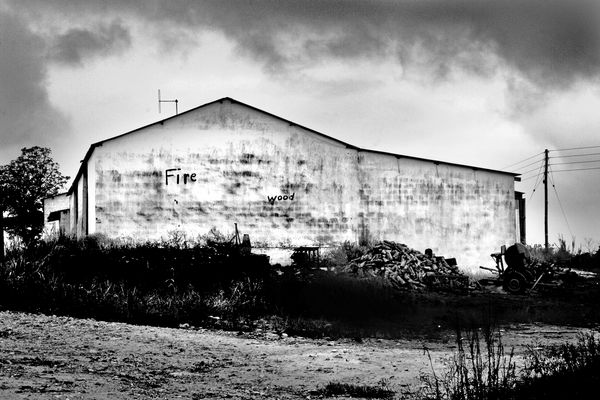 Clint Strydom, Firewood, KwaZulu Natal, South Africa , 2005