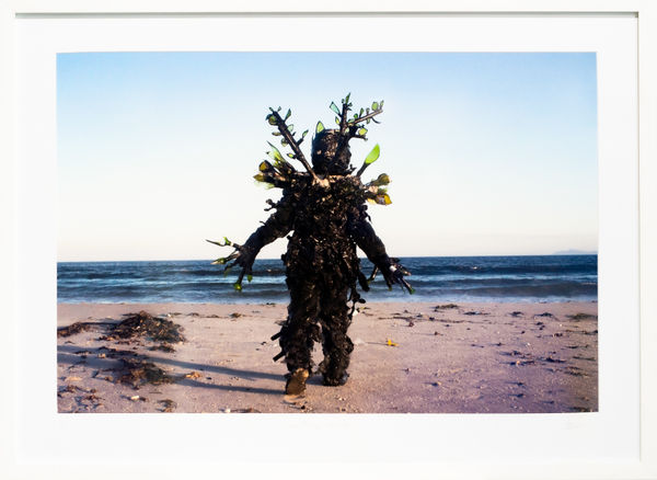 Francois Knoetze, Cape Mongo (Glass), 2013