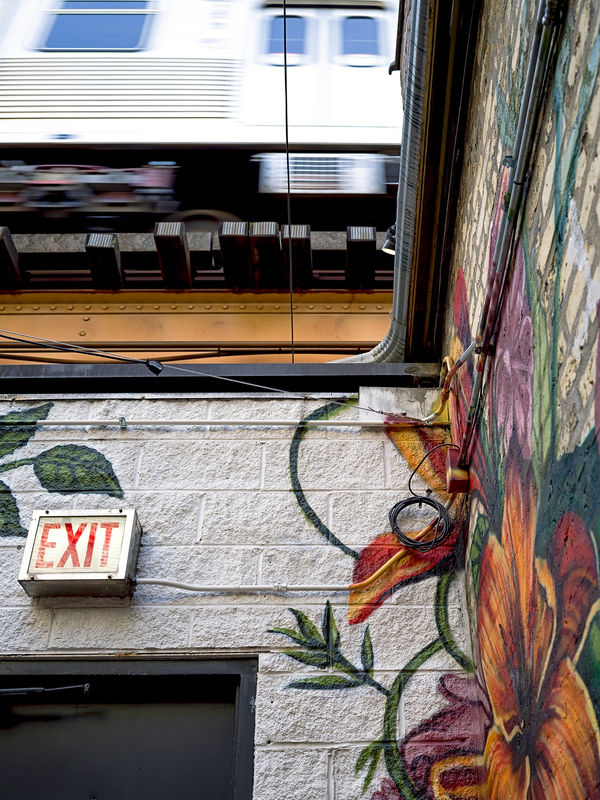 Clint Strydom, Exit, Chicago , 2025