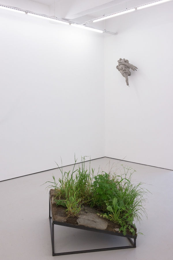 Ugo Schiavi, 1 m2 of Wasteland (Balat), 2017