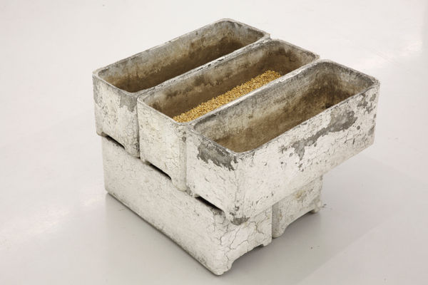 Leylâ Gediz, Nesilden Nesile, 2017