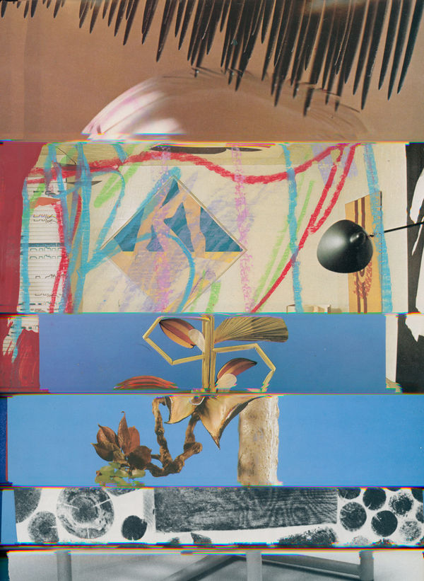 Nico Krijno, Lockdown Collage #103, 2020