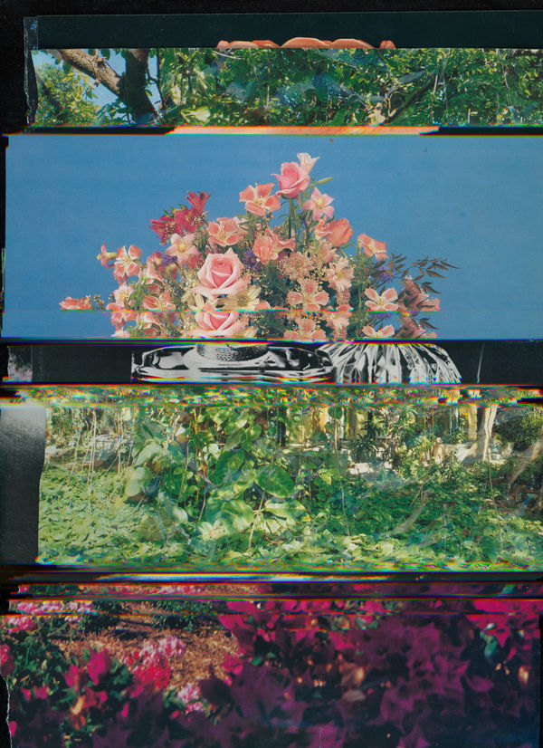 Nico Krijno, Lockdown Collage #28, 2020