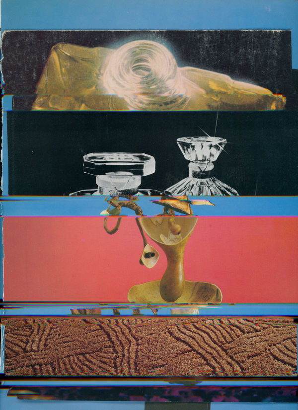 Nico Krijno, Lockdown Collage #29, 2020