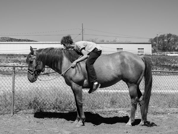 Robin de Puy, Randy #028564, 2017