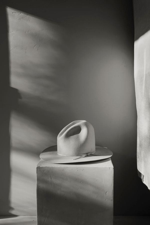 Anja Niemi, A Naturalist Guide to Magic #22, 2024