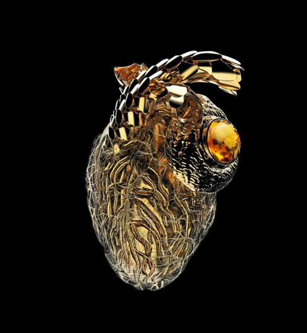 Vincent Fournier, The Immortal Heart [Infragilis Aurum cor] Self substenance and regenerating healing factor, 2015