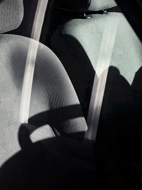 Vera van Dam, Dahlia (42), 2024