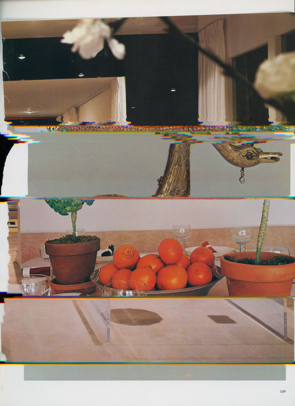 Nico Krijno, Lockdown Collage #34, 2020