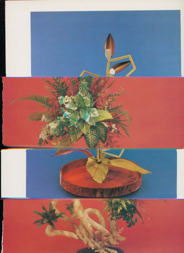 Nico Krijno, Lockdown Collage #26, 2020