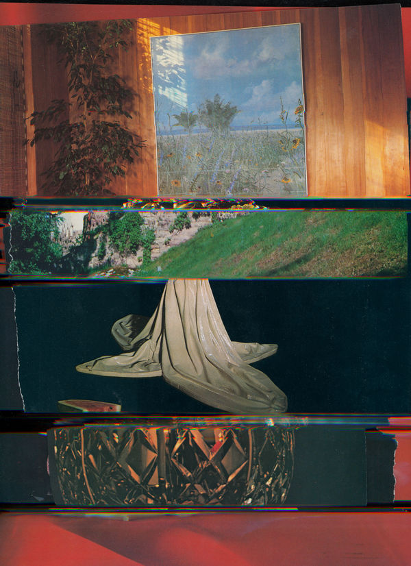 Nico Krijno, Lockdown Collage #32, 2020