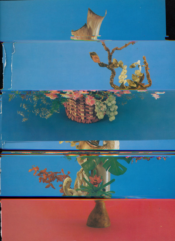 Nico Krijno, Lockdown Collage #27, 2020