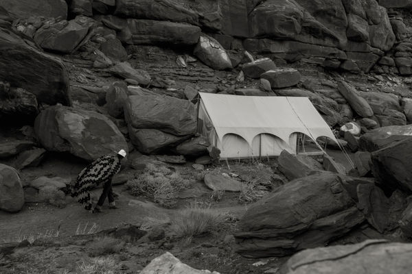 Anja Niemi, A Naturalist Guide to Magic #16, 2024