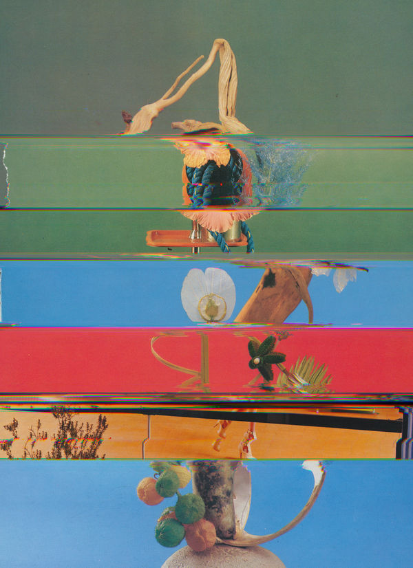 Nico Krijno, Lockdown Collage #69, 2020