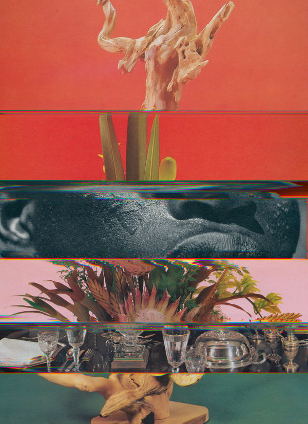 Nico Krijno, Lockdown Collage #73, 2020