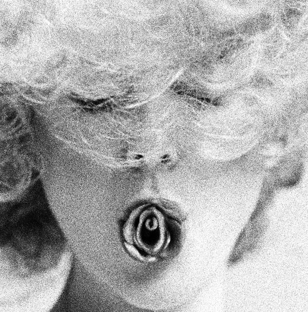 Inez & Vinoodh, A Rose of Flesh, 2009