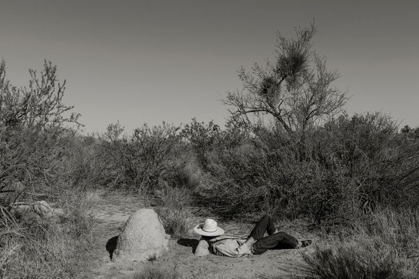 Anja Niemi, A Naturalist Guide to Magic #36, 2024