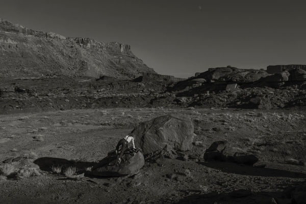 Anja Niemi, A Naturalist Guide to Magic #10, 2024