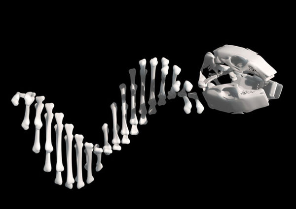 Vincent Fournier, Scorpio-Fish Drone [Scorpius Exocoetidae] Shoot and scoot soldier drone, 2012