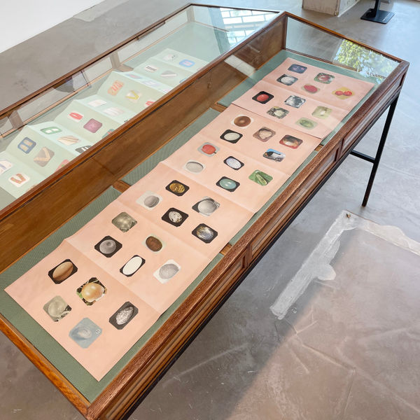 Ruth van Beek, Album 1, eggs or seeds + Album 2, socks, 2022