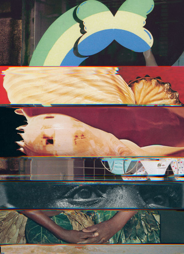 Nico Krijno, Lockdown Collage #45, 2020