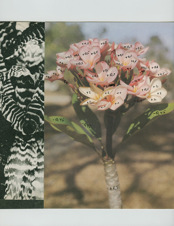 Bownik, Collage 1, 2022