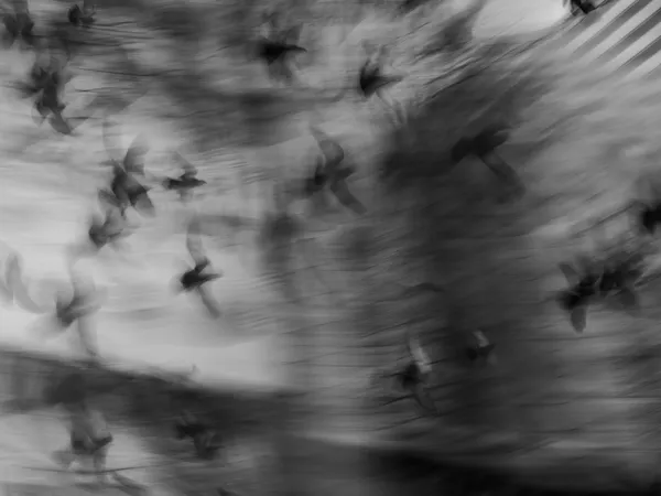 Garrett Gassman, Surreal Memory #04