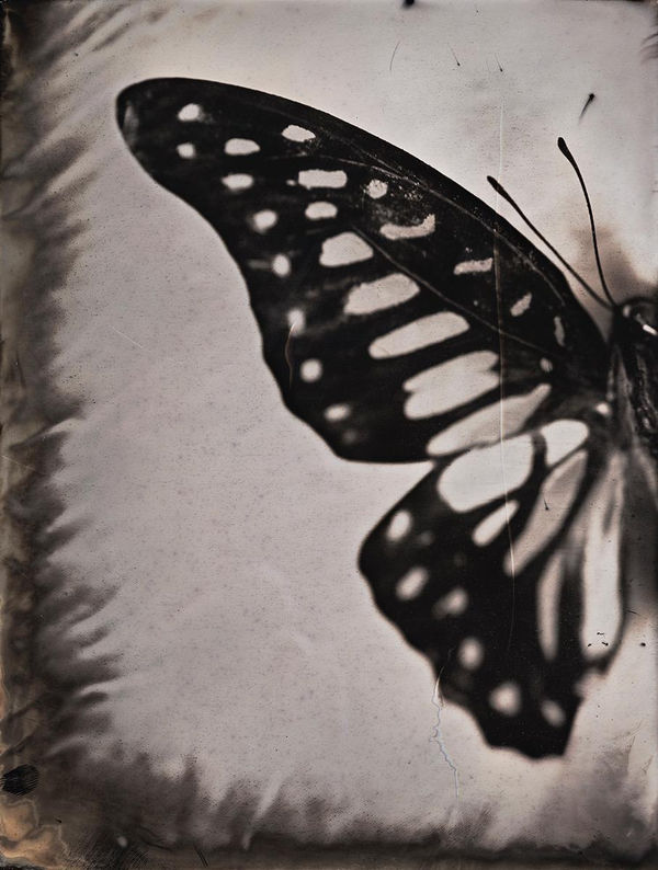 Lara Porzak, The Chemistry of Memory II