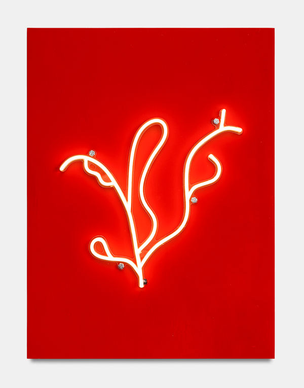 aurèce vettier, majeur, Al-generated shapes (attempt), 2024