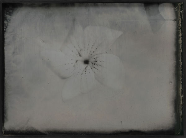 Lara Porzak, “Pinwheel”, 2024