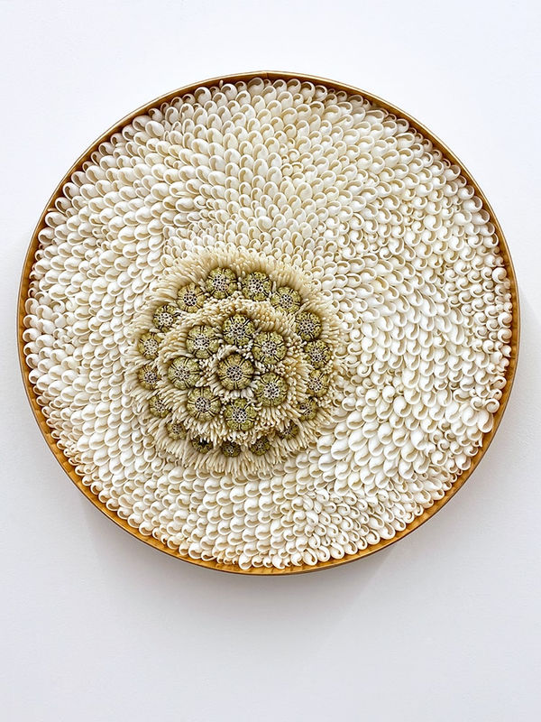 Blott Kerr Wilson, Rockhall, 2020