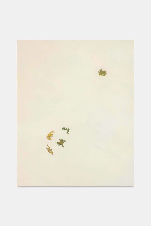 aurèce vettier, hemp islands