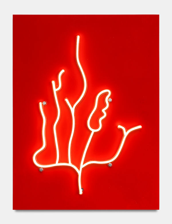 aurèce vettier, annulaire, Al-generated shapes (attempt), 2024