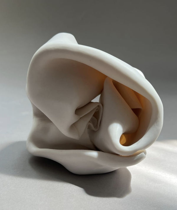 Leah Kaplan, Oracle (Folded Knot)