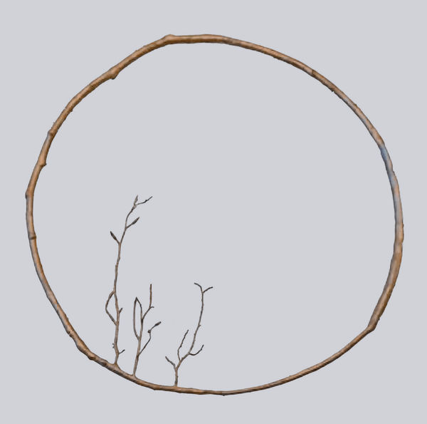 aurèce vettier, soluniversum radiatus (topological projection), 2024