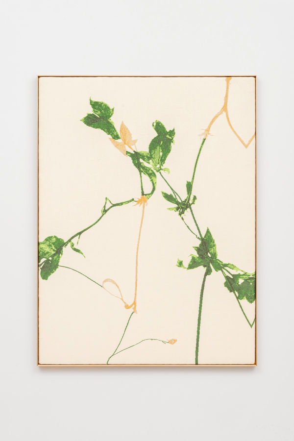 aurèce vettier, impossibilis grandifolius (initiating transmutation into peradam), 2025