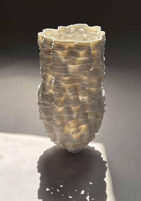 Leah Kaplan, Ribbon vida