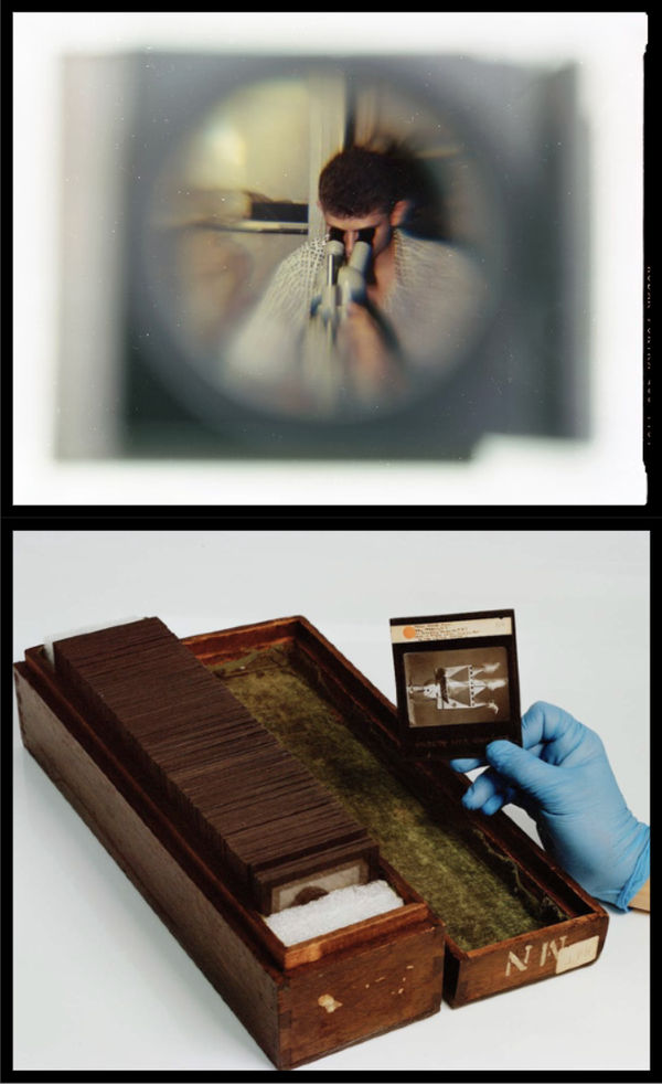 Lívia Melzi SN1965 II, 2024