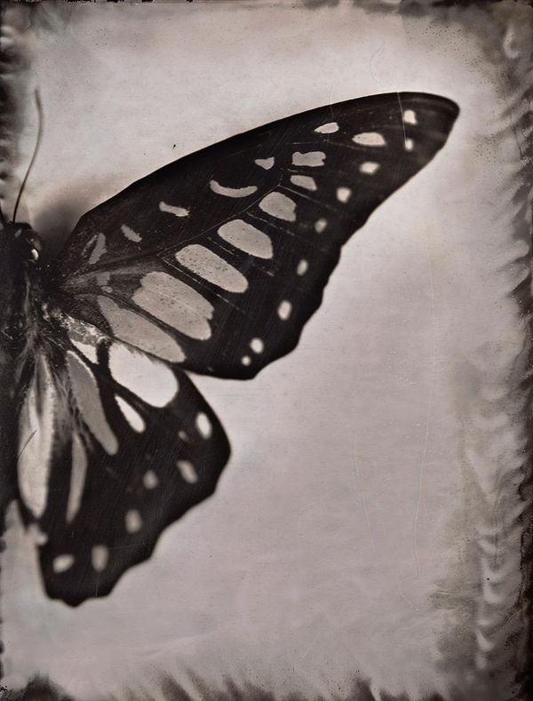 Lara Porzak, The Chemistry of Memory