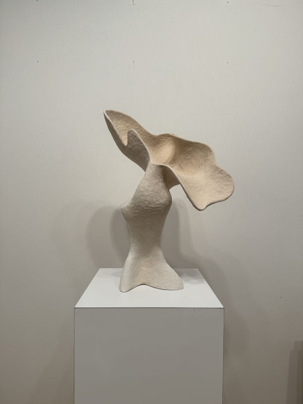 Olga Sabko, Sans nom, Vase