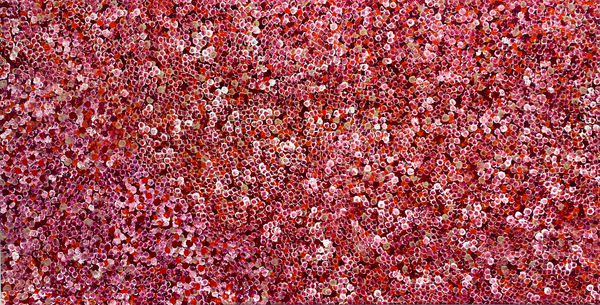 Bush Plum Dreaming by Belinda Golder Kngwarreye