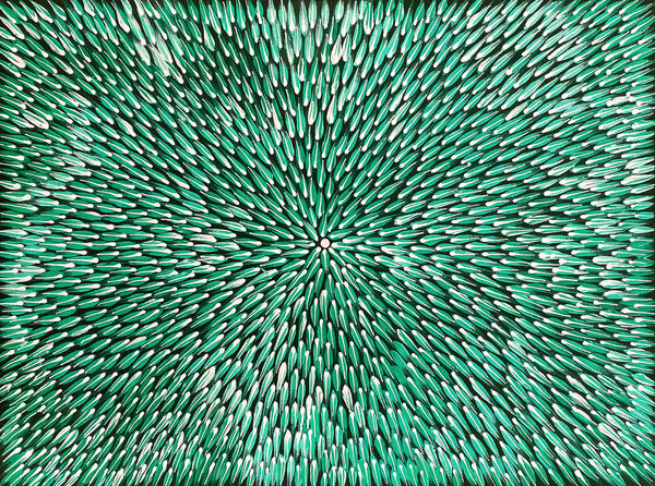 Bush Medicine by Louise McMillan