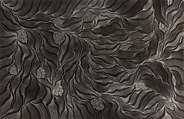 My Country by Anna Pitjara (Petyarre)