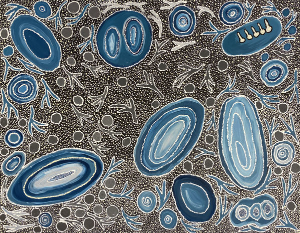 Mamungari Tjukurrpa - Mother's Country by Pollyanne Smith