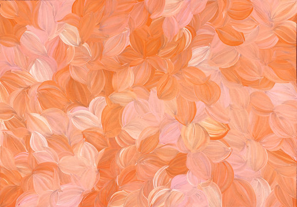 Bush Leaf Medicine by Jacinda Hayes