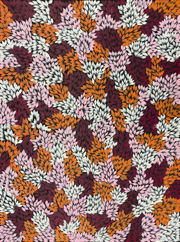 Bush Leaf Medicine by Jacinda Hayes