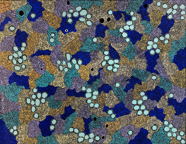 Ngintaka (Lizard Man) by Meredith Curley