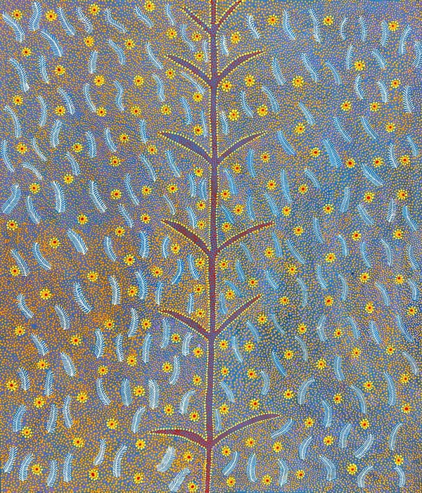 Bush Medicine (Alpar) by June Bird Ngale