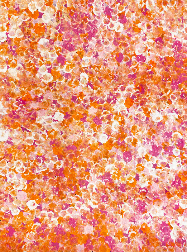 Bush Plum Dreaming by Belinda Golder Kngwarreye, 2024, acrylic on linen, 45 x 60 cm